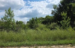 113 Devonshire Drive, Lapeer, MI 48446
