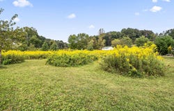 Dutch Run Road, Beaver, OH 45613