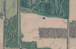 Beech Grove Road, Farmington, KY 42040