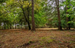 Donald Rd NE, Aurora, OR 97002