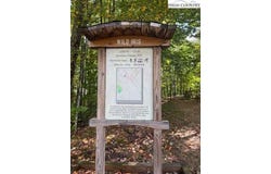 166 Wild Iris, Beech Mountain, NC 28604