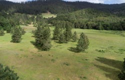 Cow Creek Road, Riddle, OR 97469