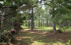 340 Joshlyn Rd., Fitzgerald, GA 31750