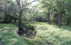 320 Hillcrest Ln, Dale, TX 78616