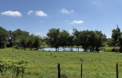 14 COUNTY ROAD 273, BREMOND, TX 76629