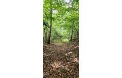 Helena Moriah Road, Timberlake, NC 27583