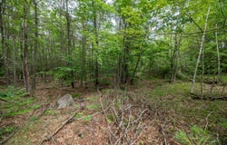 Caldwell Drive, Farmingdale, ME 04344