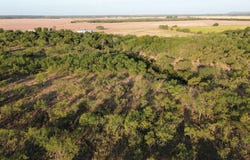801 State Highway 153, Wingate, TX 79566
