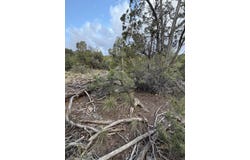 Skyline Ct Tract 6C, Sandia Park, NM 87047