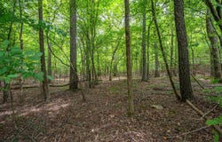 RIVERVIEW Drive lot: 58, Malvern, AR 72104