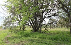 852 CR 303, Palacios, TX 77465