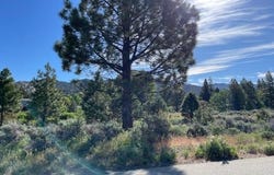 556 Longhorn Drive, Loyalton, CA 96118