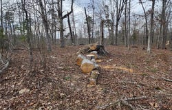 Wayne County Road 434, Piedmont, MO 63957