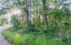 Forest Hill Drive, Frankston, TX 75763