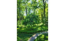 6 Nancy Lane, Hooksett, NH 03106