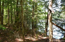 H58 Road, Shingleton, MI 49884