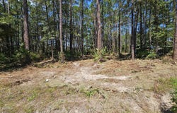 323 Baker Creek Road, Nahunta, GA 31553