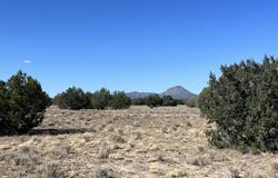 135 NW Boars Breath Road, Ash Fork, AZ 86320