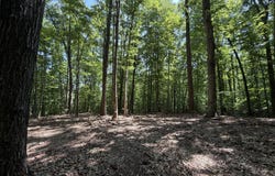 PARRISH Road lot: 4A, LOUISA, VA 23093