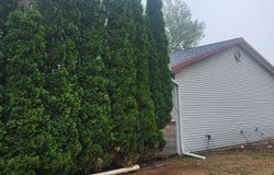 208 S Clark St, Viborg, SD 57070