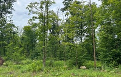 CTH G lot: 15, Pelican Lake, WI 54463