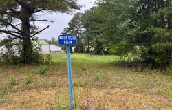 Jackson Forest, PARIS, TN 38242