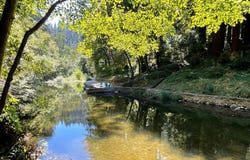 11085 Riverside RD, BROOKDALE, CA 95007