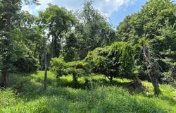 FOX RUN lot: 24A 3.22 Ac, BAKER, WV 26801