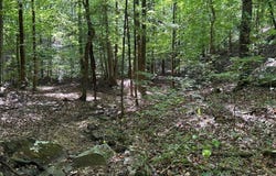 6809 HIGHWAY 11, PELHAM, AL 35124
