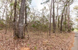 TR2 County Road 2182, Whitehouse, TX 75791