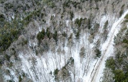 Hemlock Road, New Berlin, NY 13411