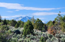 369 Woodruff Road, Glenwood Springs, CO 81601