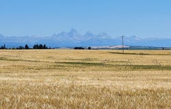 L3 B1 E 1300 N, Ashton, ID 83420