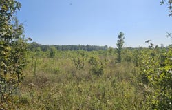 River Bend Road, Columbia, MS 39429