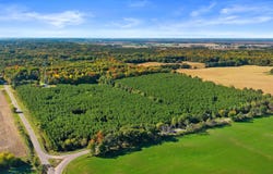 MERRYLAND DRIVE lot: 2, Custer, WI 54423