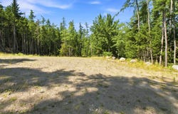 37 Corn Hill Road, Machiasport, ME 04655