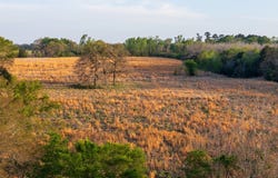 County Road 117, Elkhart, TX 75839