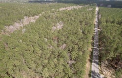 Tract C - TBD Pennyroyal Rd., Georgetown, SC 29440