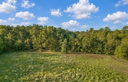 County Road 2195, Quitman, TX 75783
