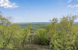 Bluff Ledge Trail, Hixson, TN 37343