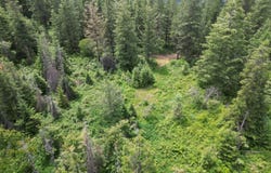 NKA INITIAL PEAK Rd, Cataldo, ID 83810