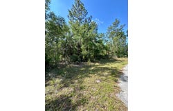 NE Willstone Way, Steinhatchee, FL 32359