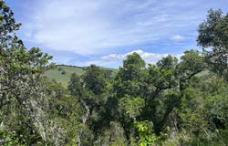 33446 E Carmel Valley RD, CARMEL VALLEY, CA 93924