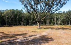 2374 Colesburg Tompkins Road, Woodbine, GA 31569