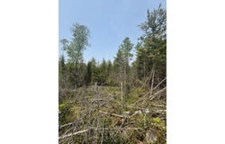 W M-134 Hwy, Hessel, MI 49745