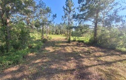 0 UNASSIGNED LOCATION RE, PERRY, FL 32348