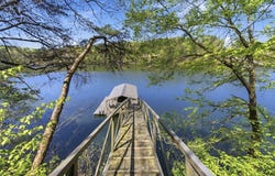 1135 LAKE Dr, Logan, AL 35098