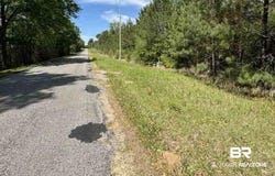 Horace Odom Road, Millry, AL 36558