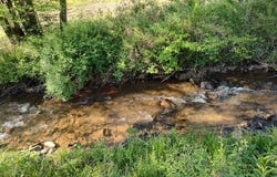 Smith Hill Rd, Franklin, NC 28734