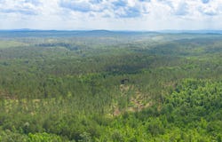 Vinyard lot: 3, Fruithurst, AL 36262